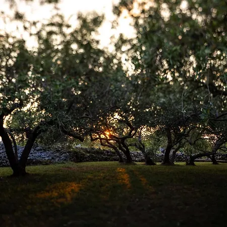 Вилла Mai's Стари Град